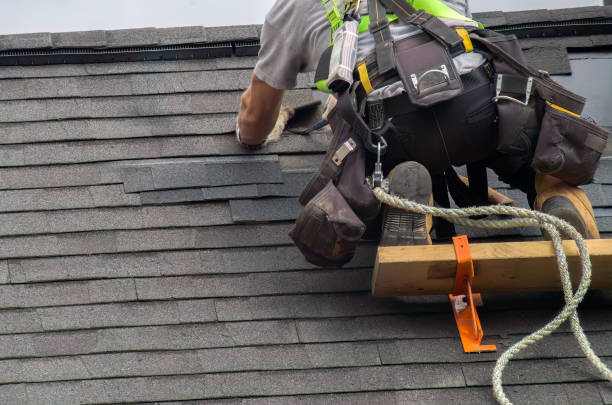 Fast & Reliable Emergency Roof Repairs in Delta Junction, AK