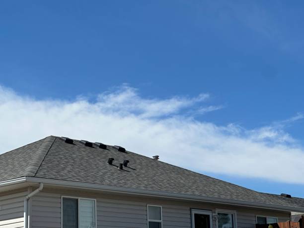 Best Cold Roofs  in Delta Junction, AK